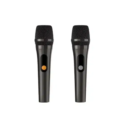 HiFuture Vocalist 200 Wireless Bluetooth Speaker with Dual Microphone , Silver