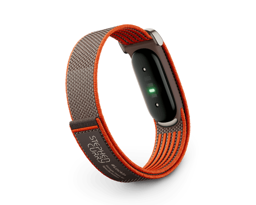 Google Fitbit Air — Screenless Fitness, Heart Rate and Sleep Tracking — Rye