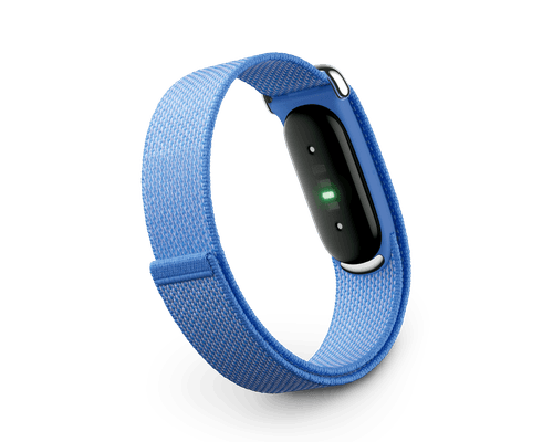 Google Fitbit Air Screenless Fitness & Health Tracking Band , Lavender , Classic